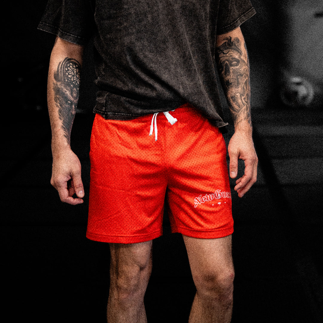 PREMIUM MESH SHORTS