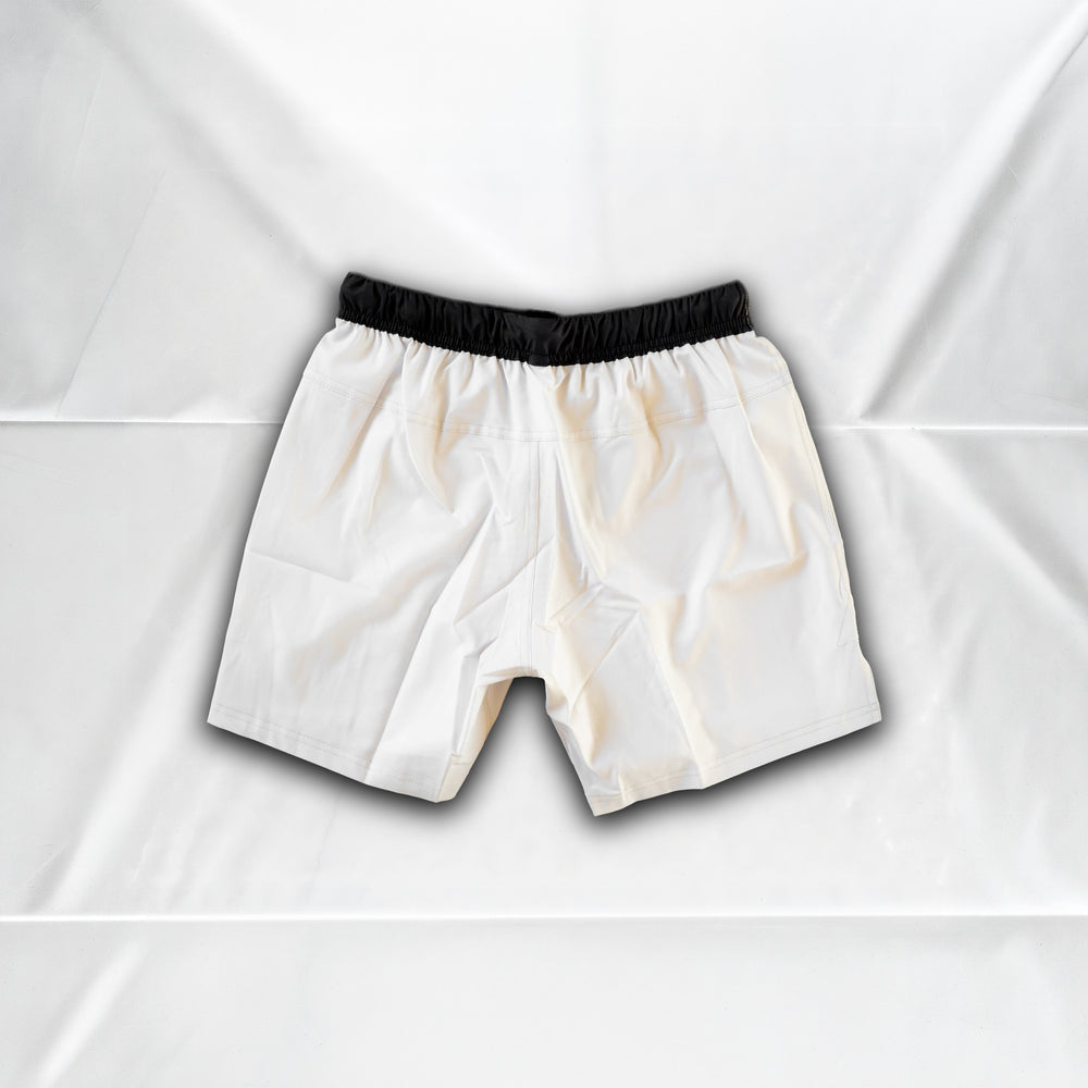 Ftlog Shorts - Bone - Back