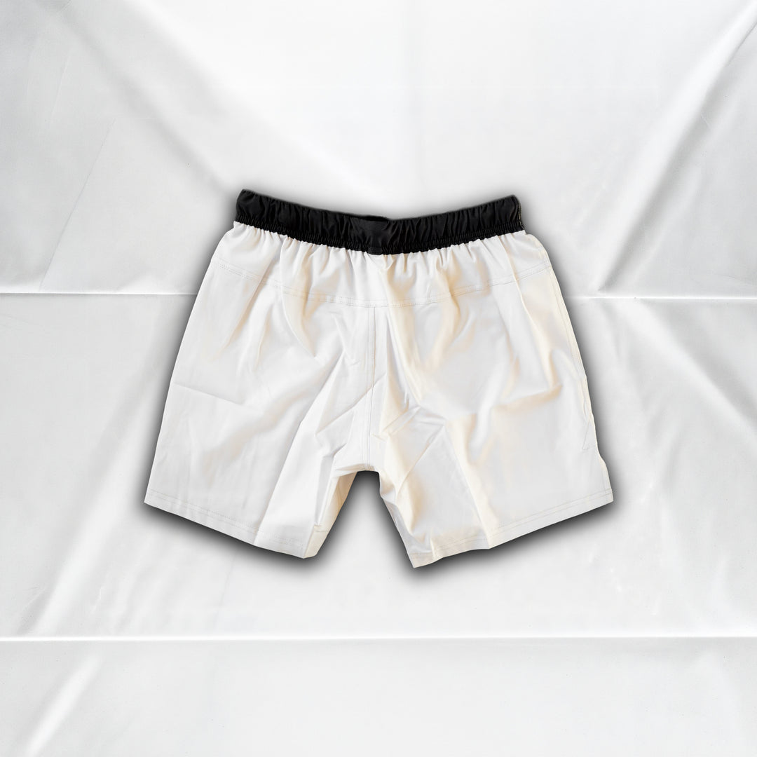 Ftlog Shorts - Bone - Back